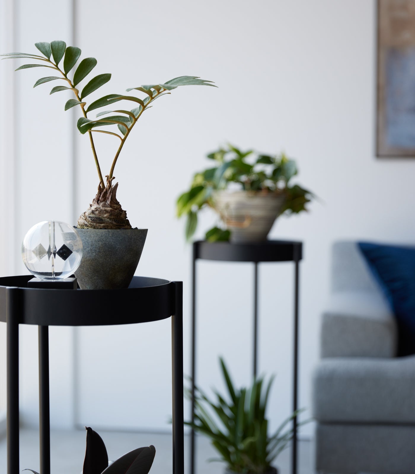 Two-Tier Rolling Plant Stand (28 H) - Steel - Image 10