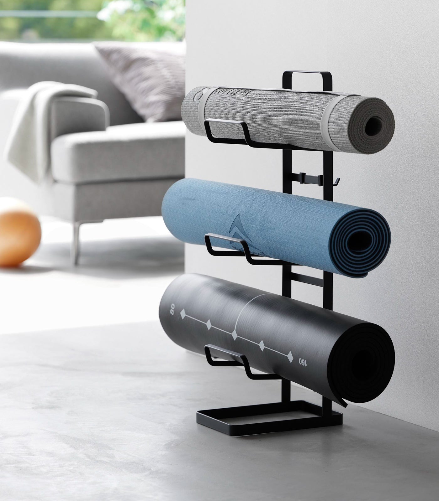 Fitness Equipment Storage Rack - Steel - Image 9
