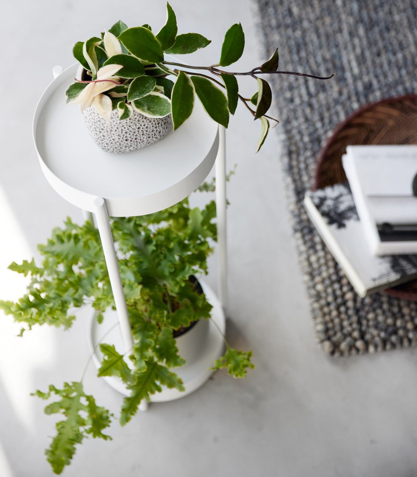 Two-Tier Rolling Plant Stand (28 H) - Steel - Image 2