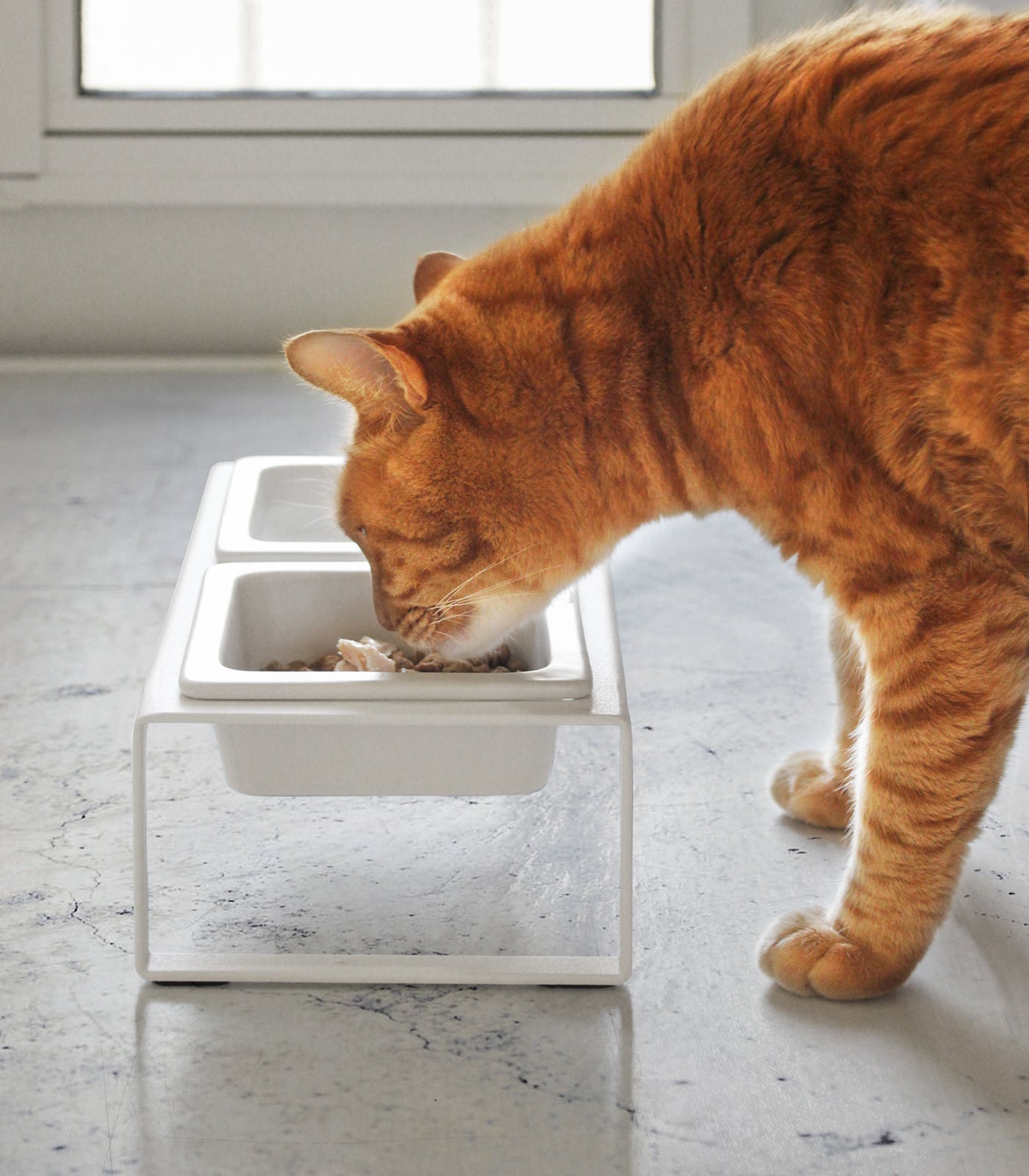 Pet Food Bowl - Tall - Steel + Ceramic - Image 3