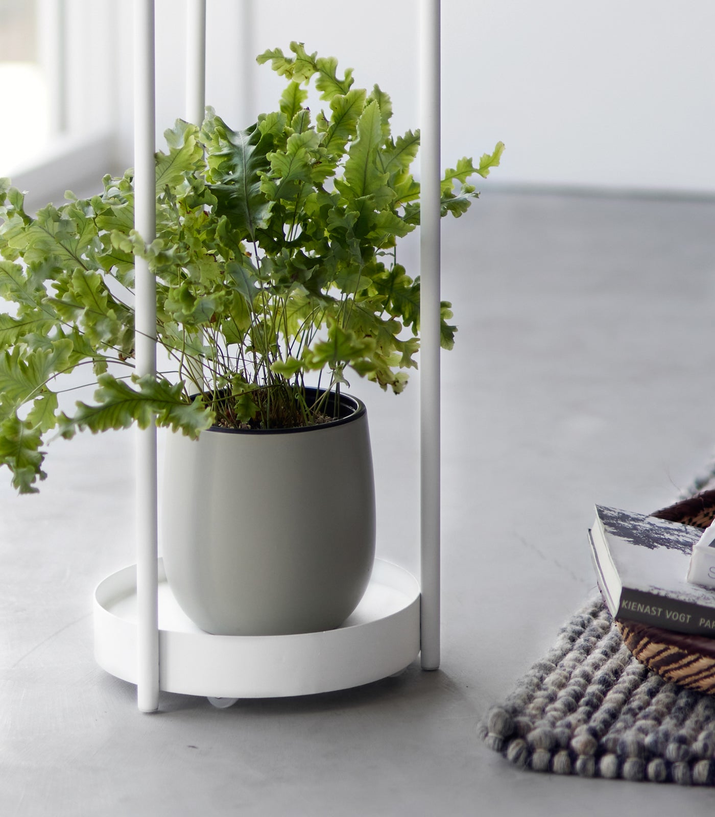 Two-Tier Rolling Plant Stand (28 H) - Steel - Image 7